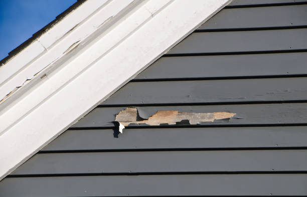 Best Vinyl Siding Installation  in Brambleton, VA